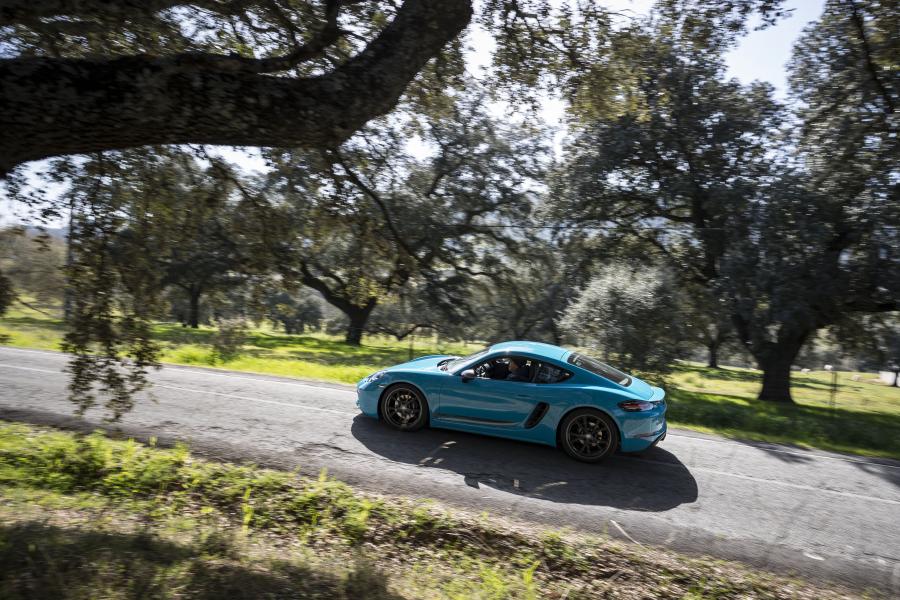  Porsche 718 Cayman T (982C) 2019 года  (WW) (фото 26 из 73)